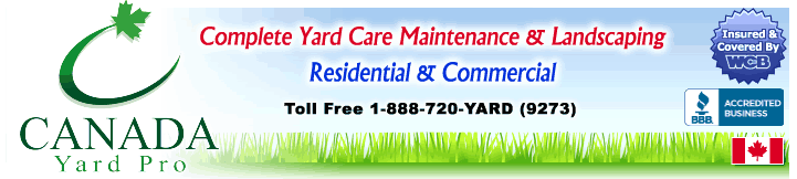 Calgary Snow Removal Services